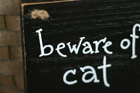 Beware Of Cat Sign Custom Wood Sign Front Door Decor Custom Etsy