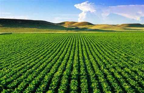 Le secteur agricole au Maroc, nouvelle terre fertile pour l