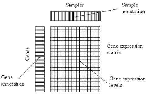 Gene Expression Matrix Download Scientific Diagram