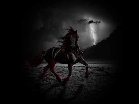 Find images of black background. Black Horse HD Backgrounds | PixelsTalk.Net