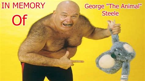 In Memory Of George The Animal Steele Youtube