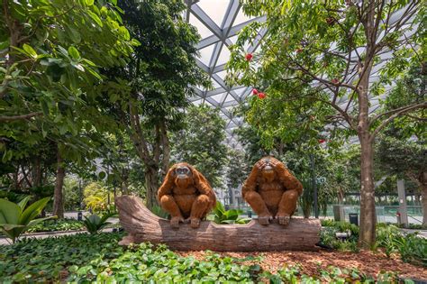 An Inside Look Singapores Jewel Changi Airport Hosts The