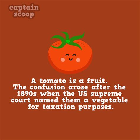 Fun Facts about Fruits and Vegetables | Fruit facts, Food facts, Fun ...