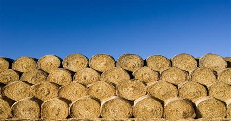 Minimizing Storage Losses Of Round Bale Hay