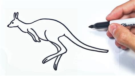 Cómo Dibujar Un Canguro Paso A Paso Dibujo De Canguro