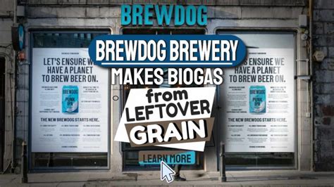 Brewdog Brewery Makes Biogas Off Old Grain How Is It Carbon Negative