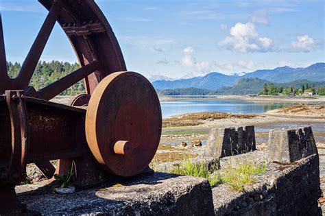 Logging Industry Remnants Stock Photo Download Image Now Bc Beach