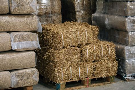 What Is The Difference Between Hay Haylage And Straw Baled