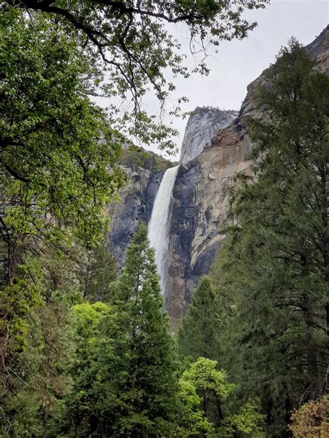 Yosemite Falls In Yosemite Valley National Park Stock Image Image Of