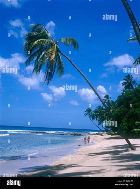 barbados gibbs beach fotografías e imágenes de alta resolución alamy