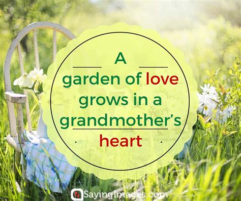 30 Sweet Grandma Quotes Dedicated To All Grandmothers