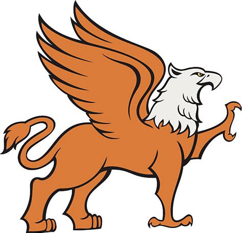 Royalty Free Griffin Clip Art Vector Images And Illustrations Istock