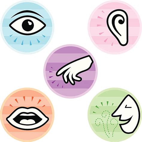 Five Senses Concept Download Free Vectors Clipart