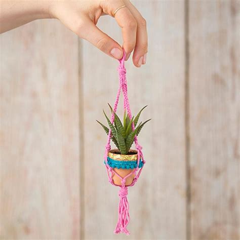 Bright pink flowers with yellow centers and green to reddish leaves this plant was sold in a group of succulents. Natural Life Pink Mini Macramé Succulent Hanging Plant ...