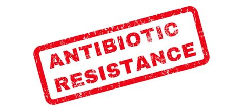 Resistencia A Los Antibióticos Vectores Gráfico Vectorial