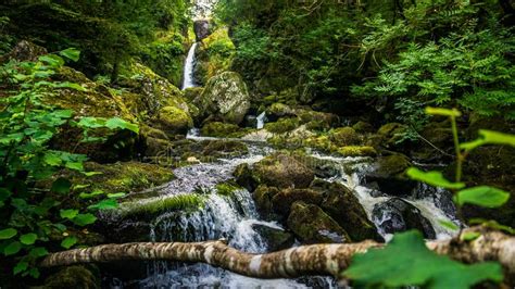 Stream Or Creek Flowing Between Mossy Rocks Water Autumn Ireland