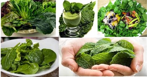 8 alimentos que deberías evitar si tomas anticoagulantes. IMPORTANCIA DE LOS VEGETALES DE HOJA VERDE : FRUTAS VERDURAS BENEFICIOS PROPIEDADES Y USOS