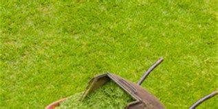 Soil compaction refers to soil reduction, resulting in excessive solid particles. Spring Gardening Tips: Aerate your lawn | Gardening tips ...