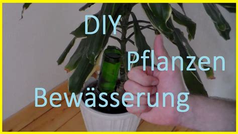 Wir verraten euch die besten tricks, mit denen ihre eure pflanzen. Bewässerungssystem für Pflanzen selber bauen - Pflanzen im ...