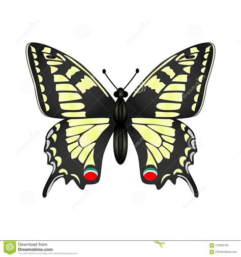 Free Free 243 Yellow Butterfly Svg SVG PNG EPS DXF File