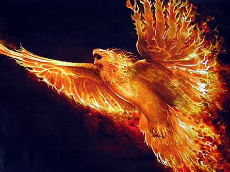 Phoenix Ologypedia Fandom Powered By Wikia