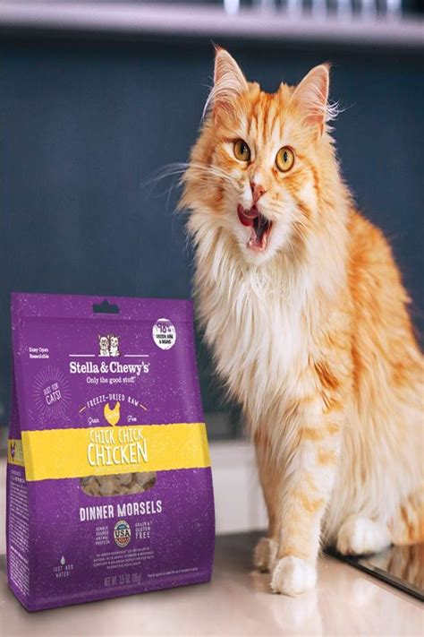 It does not contain wheat, rice, soy or gluten. Best Freeze-dried Cat Food Review And Buying Guide 2020