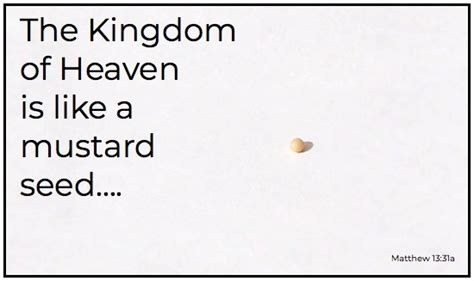 Mustard Seed Kingdom Of Heaven Scandia Bible Church