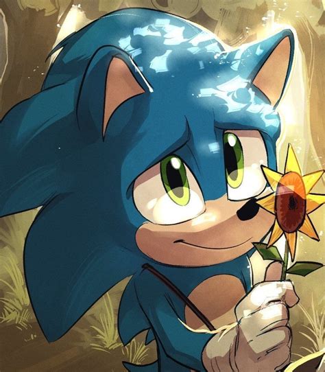 Pin By Coffee Woo On Sonic Movie Sonic And Shadow Sonic The Hedgehog