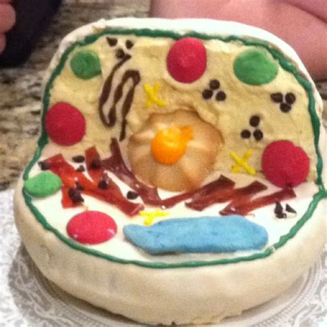 We did not find results for: Science project...make an animal cell out of cake ...