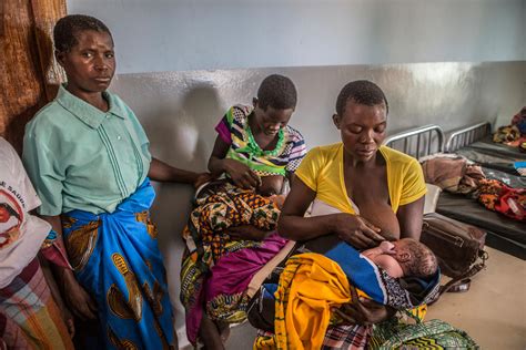 Ebola virus has been found in african monkeys, chimps and other nonhuman primates. Ebola virus disease and breastfeeding: time for attention ...