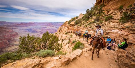 Top Things To Do At The Grand Canyon Day Or Night Via Magazine
