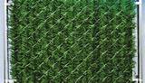 Privacy Hedge Slats For Chain Link Fence Pictures