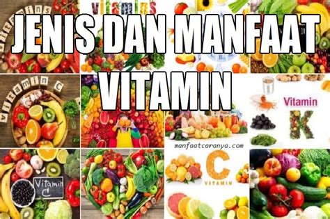 Jenis Dan Manfaat Vitamin Yang Perlu Diketahui Manfaatcaranyacom