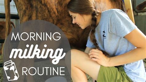 My Morning Milking Routine Youtube