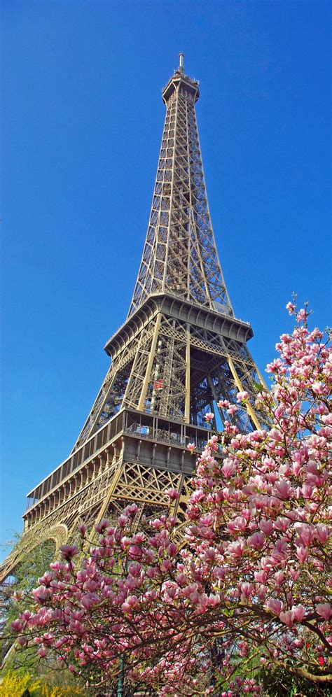 Discover The Eiffel Tower Paris Iconic Monument French Moments