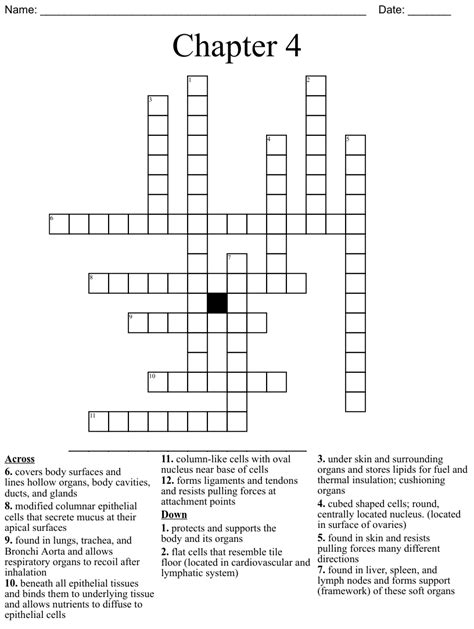 Chapter 4 Crossword Wordmint