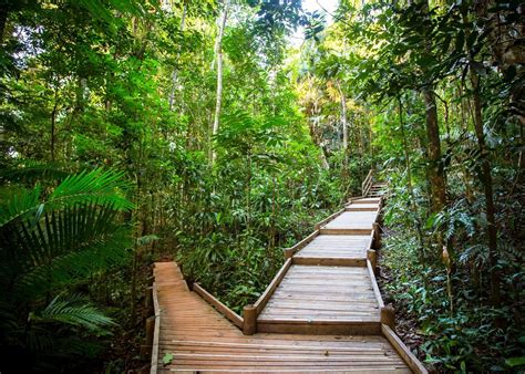Visit Daintree Forest And Cape Tribulation Audley Travel