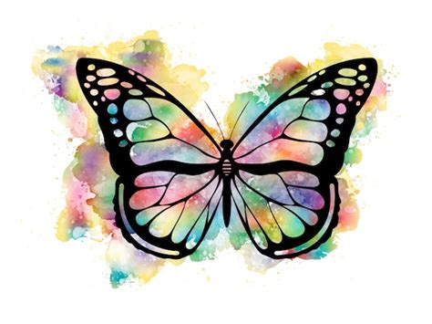 Premium Vector Colorful Butterfly In Watercolor
