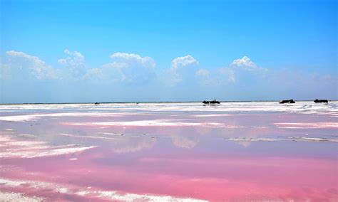 The Incredible Pink Lakes Of Las Coloradas Villa Del Palmar Cancun News