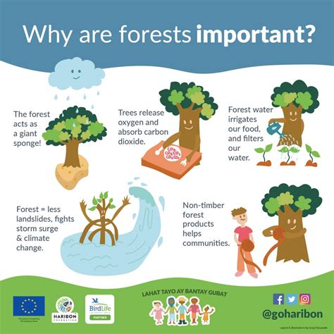 Why Are Forests Important The Haribon Foundation
