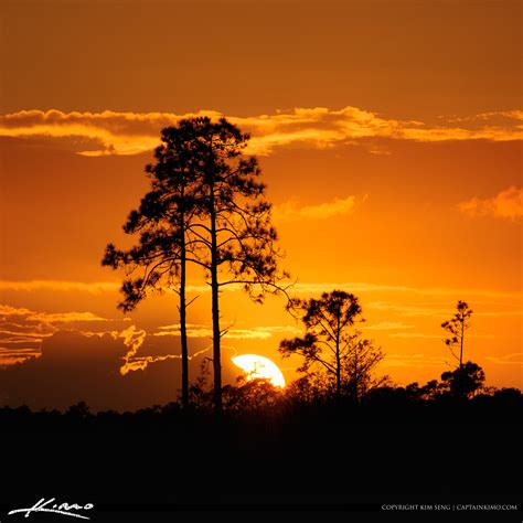 Pine Glades Natural Area Sunset From Palm Beach County Florida