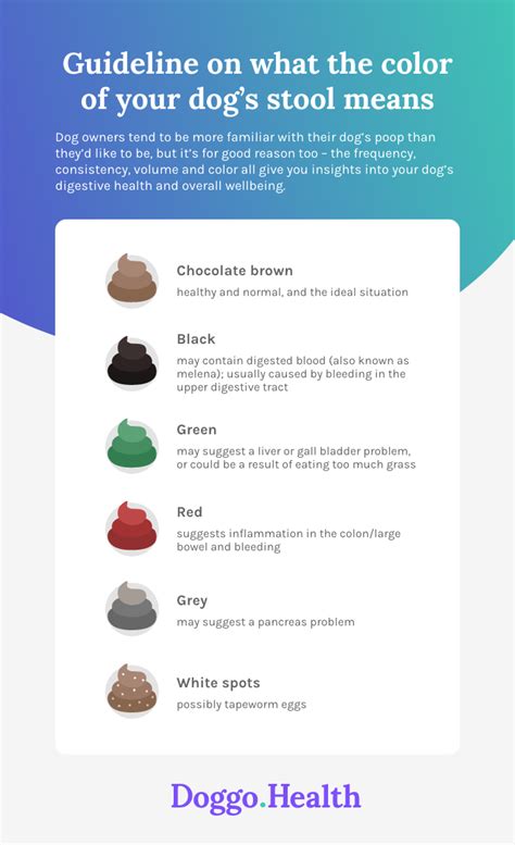 Dog Poop Color Chart Whats Normal Pet Drugs Online Know Your Poo