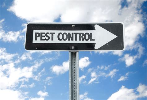 American Pest Management Professional Pest Control Makes For The Best
