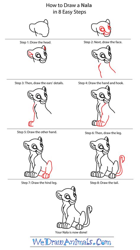 Free How To Draw A Lion Step By Step Download Free How To Draw A Lion