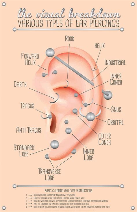 Ear Piercing Healing Time Chart Ubicaciondepersonas Cdmx Gob Mx