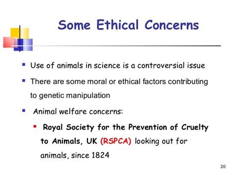 The Ethical Research Of Animal Testing