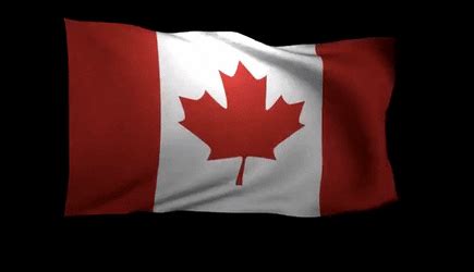 Lift your spirits with funny jokes, trending memes, entertaining gifs, inspiring stories, viral videos, and so much. 3D Rendering of the flag of Canada waving in the wind HD ...