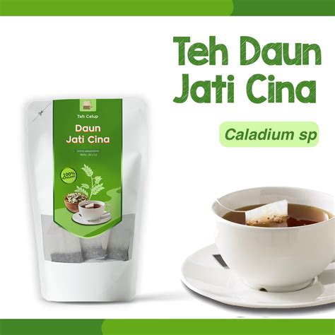 Teh diseduh dengan air panas 400ml karena biasanya lemak akan luntur bersama air. SPECIAL PROMO!!! Teh Celup Daun Jati Cina Herbal ...