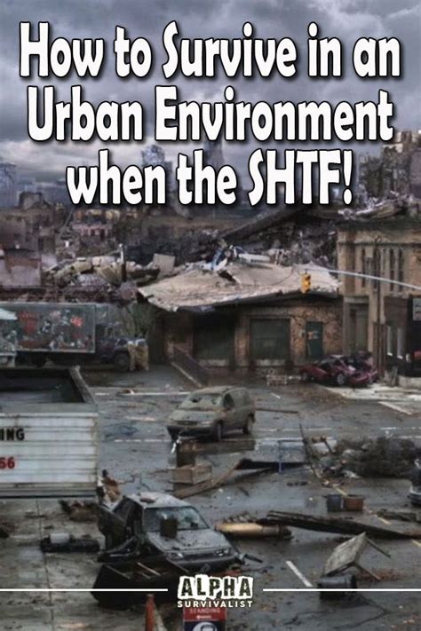 How To Survive In An Urban Environment When The Shtf Alpha