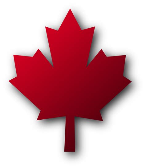 Free Maple Leaves Images, Download Free Maple Leaves Images png images ...